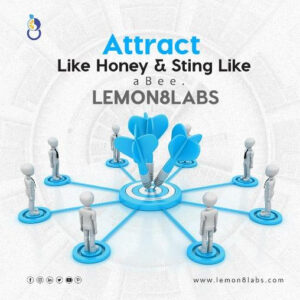 Connecta's PortFolio..pdf-image-114